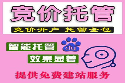 案例展示：SEM账户托管服务成果